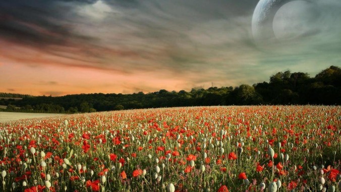 如何看待rust编写的zed编辑器?